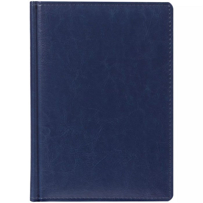 Ежедневник Nebraska, недатированный, синий 2879.44