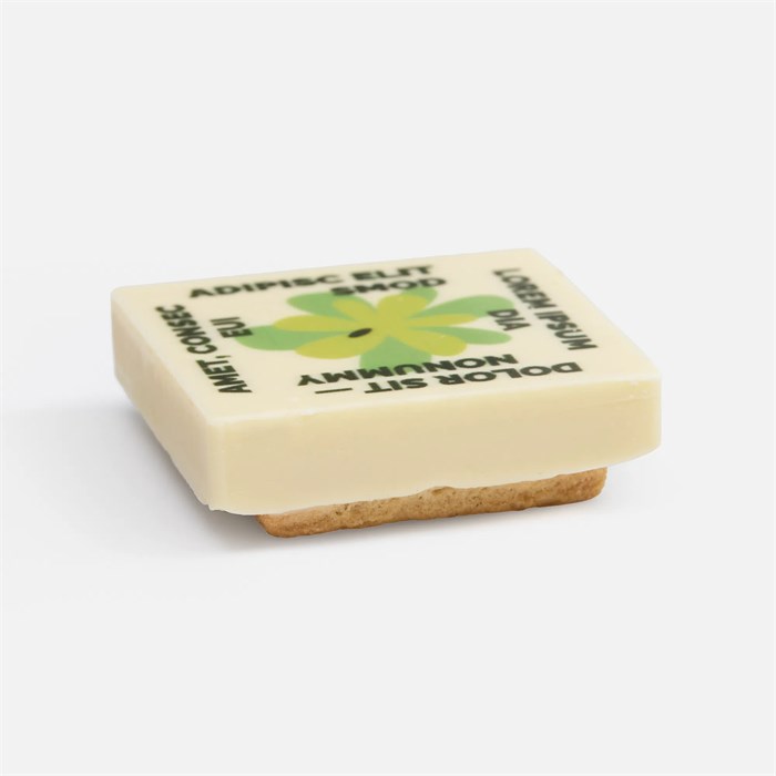 Печенье Dream White в белом шоколаде, квадрат 17610.03