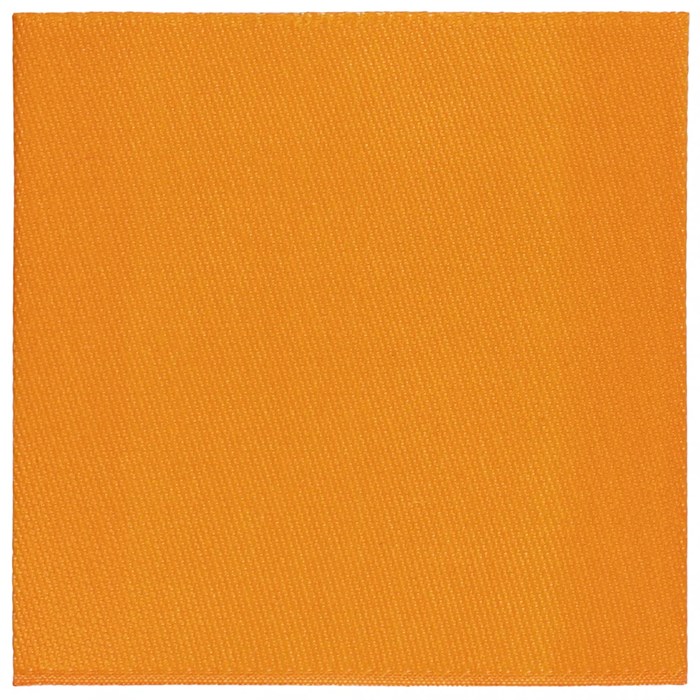 Лейбл тканевый Epsilon, L, оранжевый 13942.20