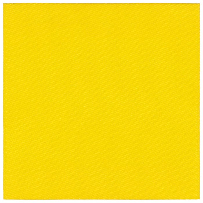 Лейбл тканевый Epsilon, L, желтый 13942.80