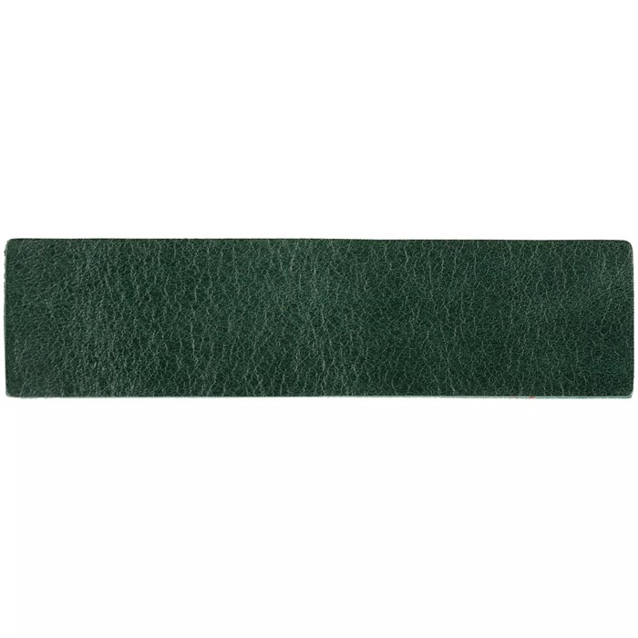 Лейбл кожаный Pasek, зеленый 16233.90