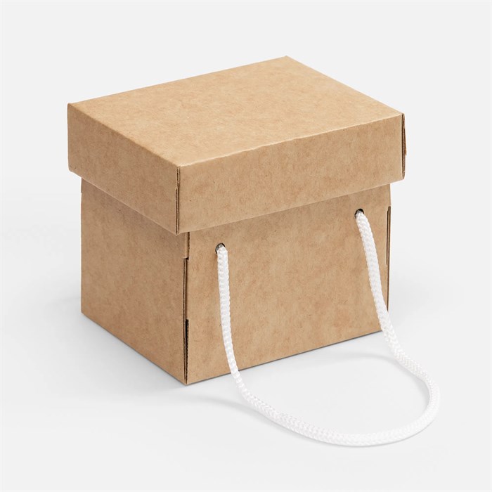 Коробка Kitbag, ver.2, крафт 25174.00