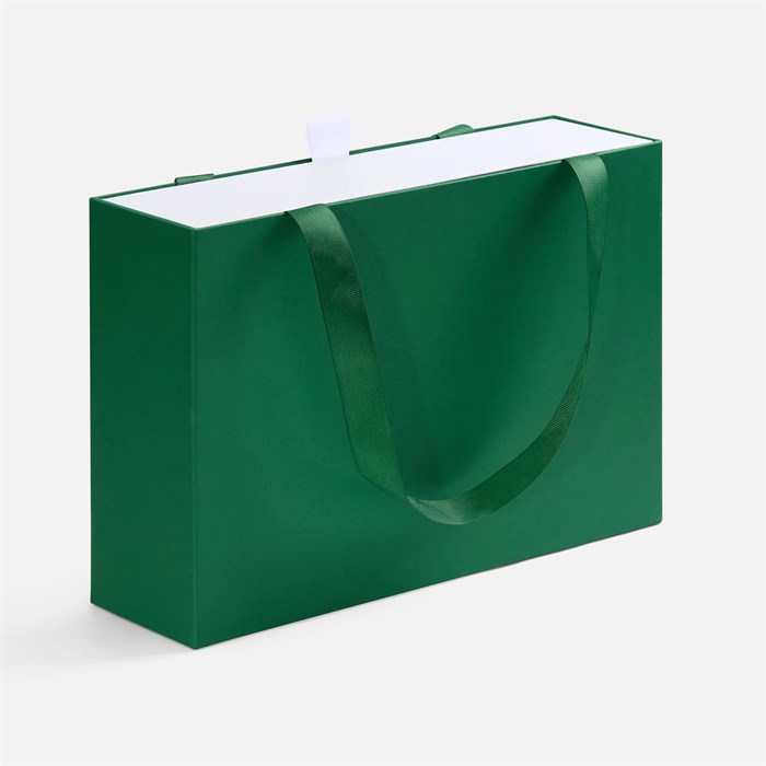 Коробка Regalis, зеленая 25011.90