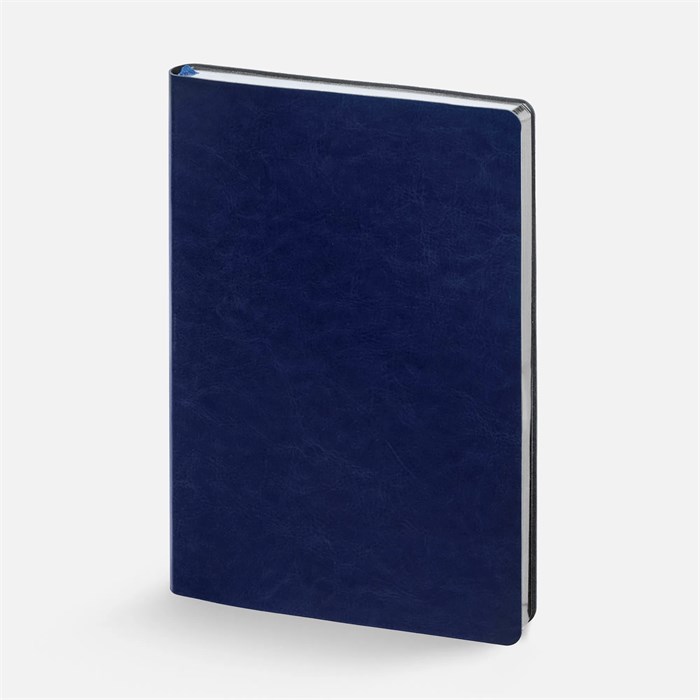 Ежедневник Nebraska Flex, недатированный, синий с серебром 22008.41