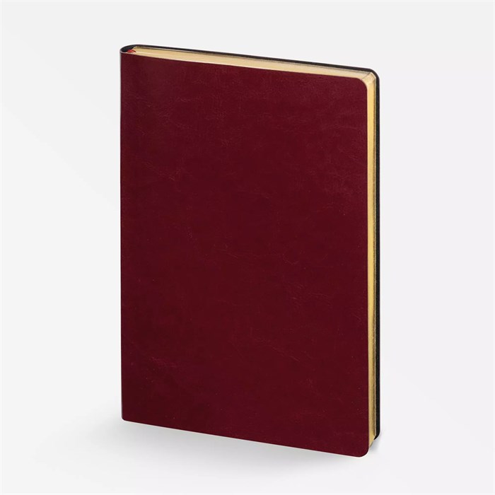 Ежедневник Nebraska Flex, недатированный, бордовый с золотистым 22008.50