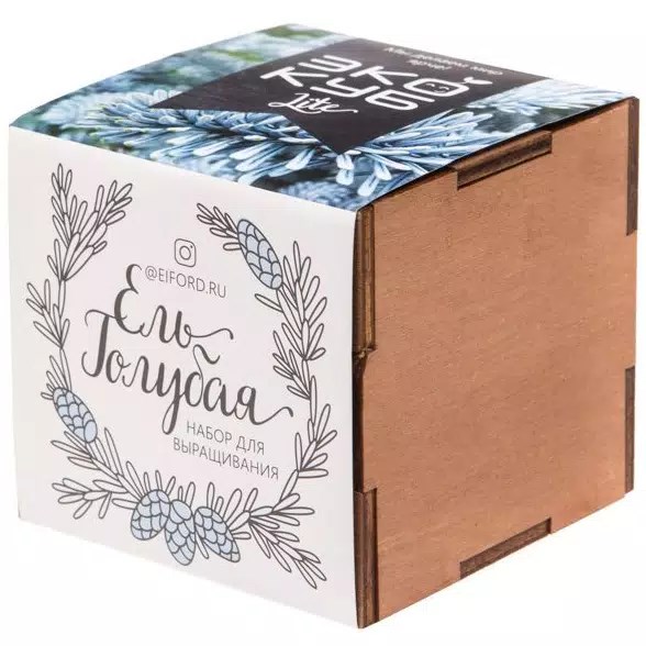 Набор для выращивания «Экокуб Lite», ель голубая 10607.02
