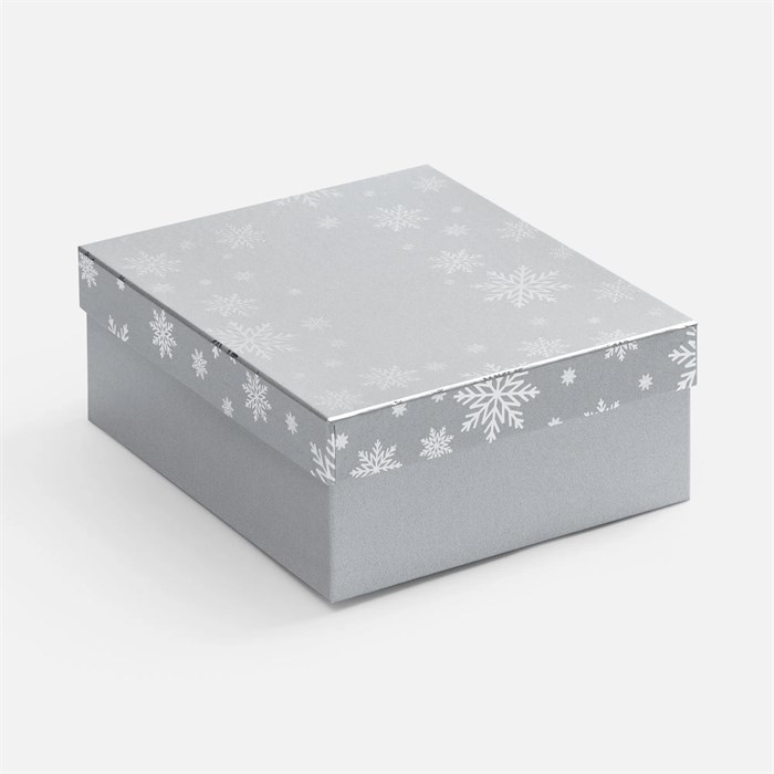 Коробка Wintry, серебристая 25022.10