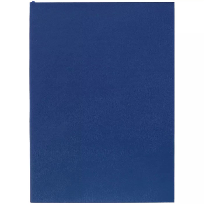 Ежедневник Flat Light, недатированный, синий 17876.40