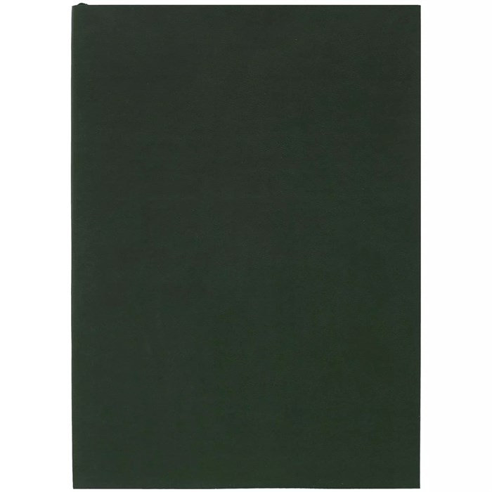 Ежедневник Flat Light, недатированный, зеленый 17876.90