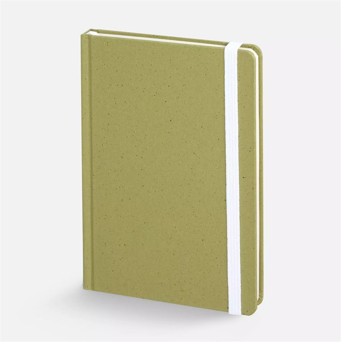 Блокнот Lactonica, зеленый 20378.90