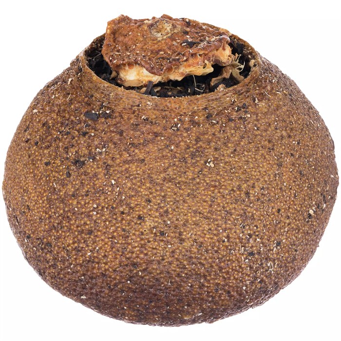 Черный чай Citrus в апельсине с маслом лайма 19400.00