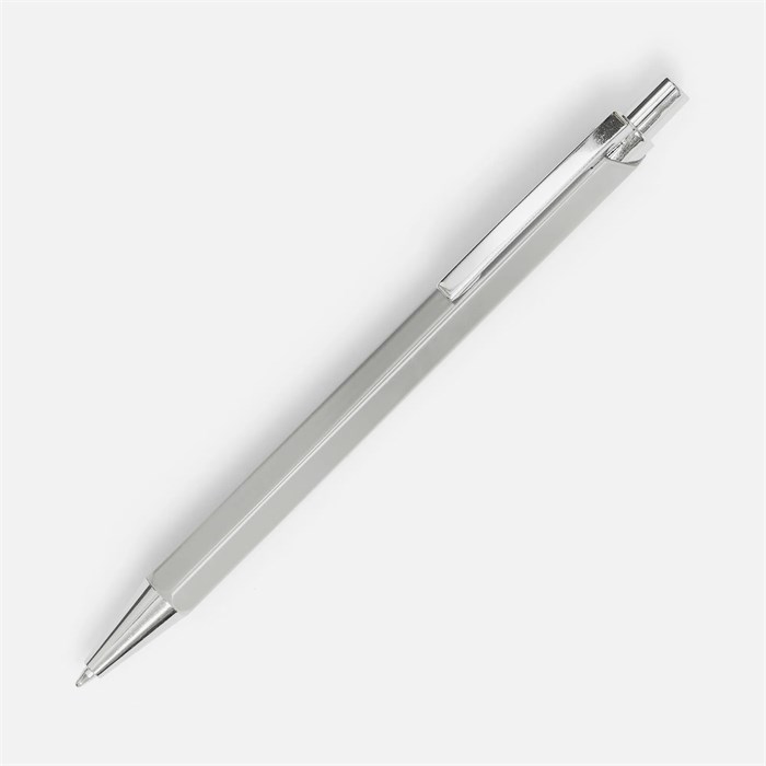 Ручка шариковая Alumno, серая 17819.10