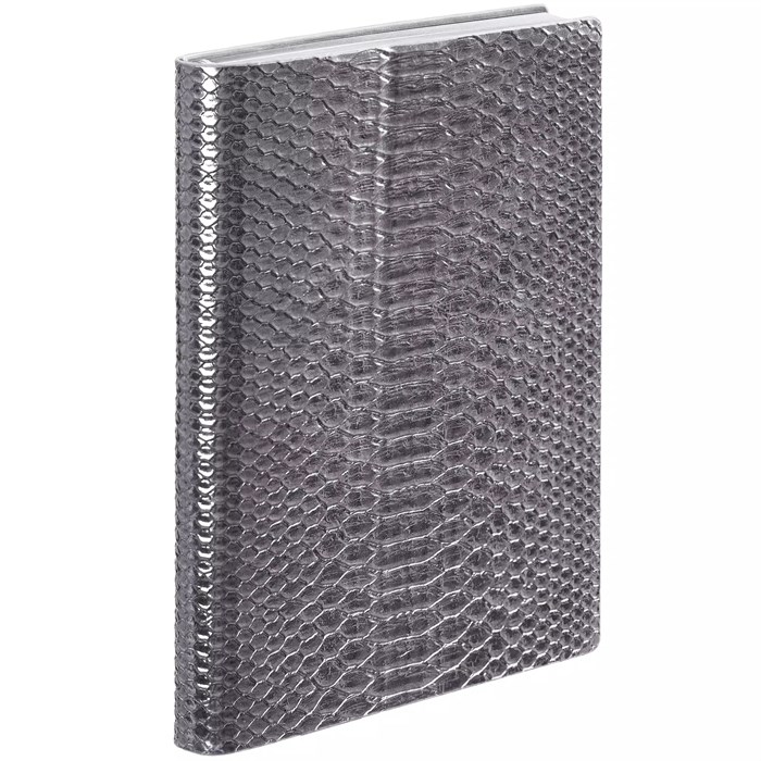 Ежедневник Anaconda, недатированный, серебристый 18296.10