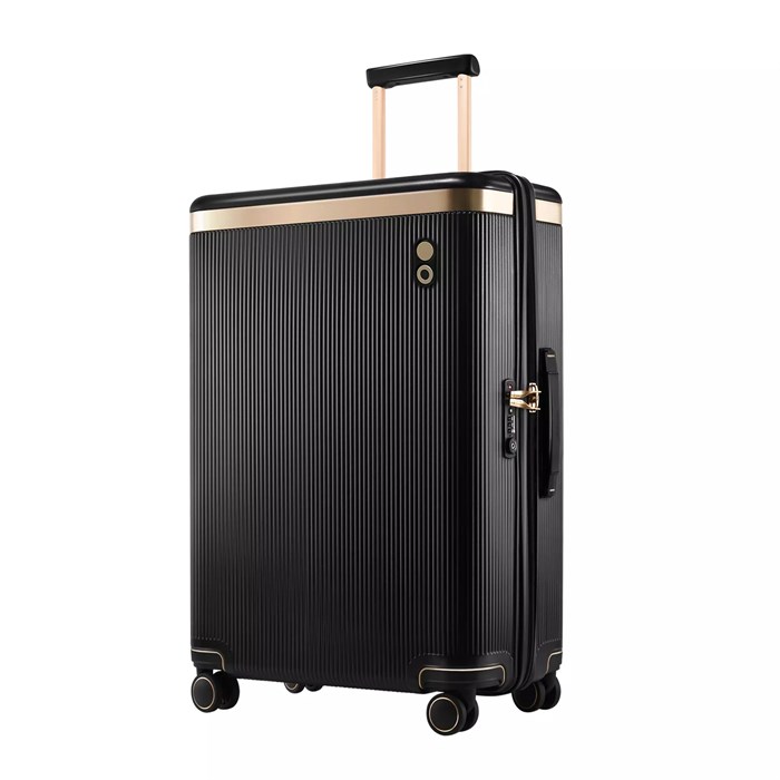 Чемодан Dynasty M, черный 16649.30