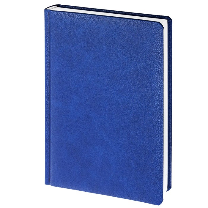 Ежедневник Sagrin, недатированный, синий 20422.40