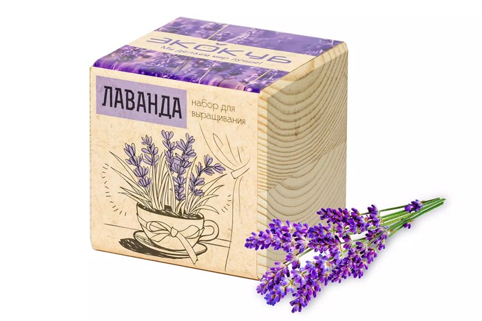 Набор для выращивания «Экокуб», лаванда 3416