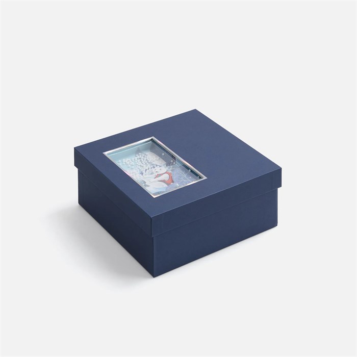 Коробка The Blue Bear, S 24001.40