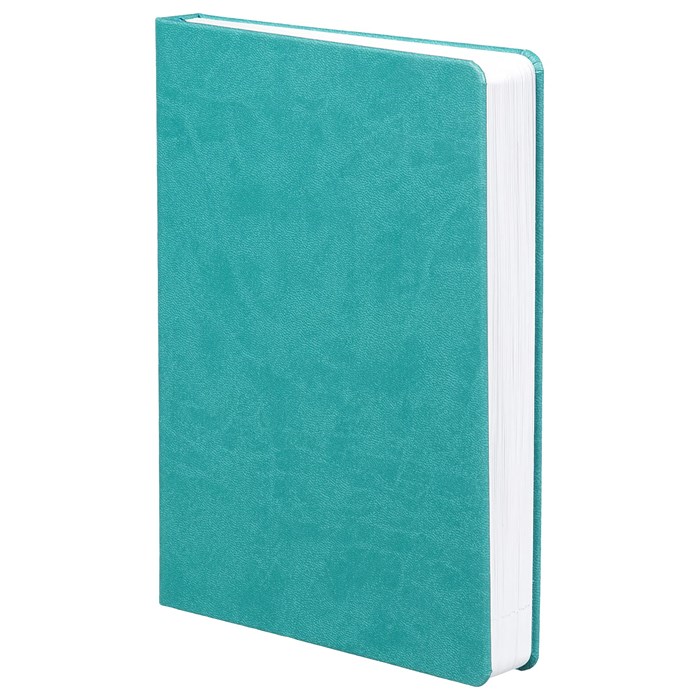 Ежедневник Basis, датированный, бирюзовый 2842.49