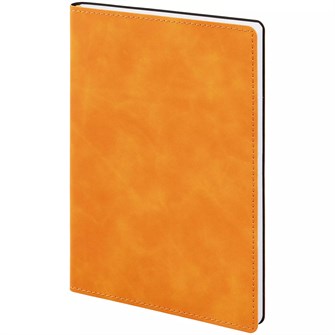 {{photo.Alt || photo.Description || 'Ежедневник Urban, недатированный, оранжевый'}}