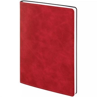 {{photo.Alt || photo.Description || 'Ежедневник Urban, недатированный, красный'}}