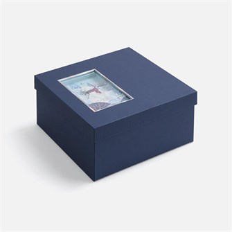 {{photo.Alt || photo.Description || 'Коробка The Blue Bear, M'}}