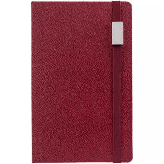 {{photo.Alt || photo.Description || 'Ежедневник Nova Metal, недатированный, красный'}}