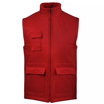 {{photo.Alt || photo.Description || 'Жилет Worker, красный'}}