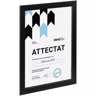 {{photo.Alt || photo.Description || 'Рамка Wonderwork, черная'}}