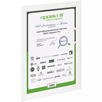 {{photo.Alt || photo.Description || 'Рамка Wonderwork, белая'}}