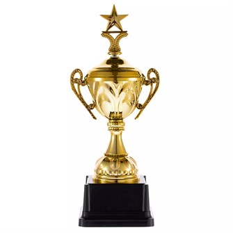 {{photo.Alt || photo.Description || 'Кубок Top Star, золотистый'}}