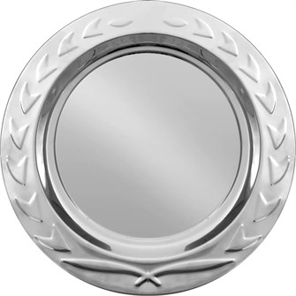 {{photo.Alt || photo.Description || 'Тарелка наградная «Круг почета», серебристая'}}