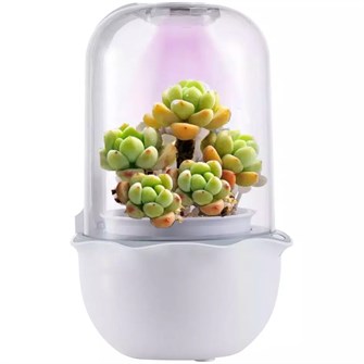 {{photo.Alt || photo.Description || 'Умная теплица growUp, белая'}}