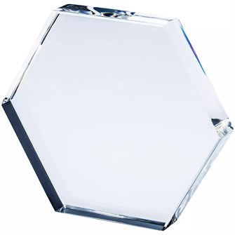 {{photo.Alt || photo.Description || 'Награда Bee, большая'}}