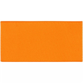 {{photo.Alt || photo.Description || 'Лейбл тканевый Epsilon, XXS, оранжевый неон'}}