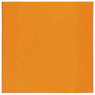 {{photo.Alt || photo.Description || 'Лейбл тканевый Epsilon, L, оранжевый'}}