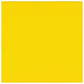 {{photo.Alt || photo.Description || 'Лейбл тканевый Epsilon, L, желтый'}}