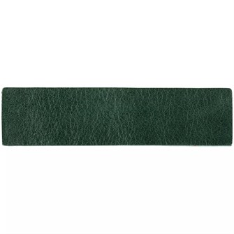 {{photo.Alt || photo.Description || 'Лейбл кожаный Pasek, зеленый'}}