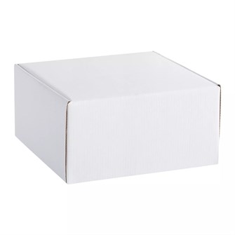 {{photo.Alt || photo.Description || 'Коробка Medio, белая'}}