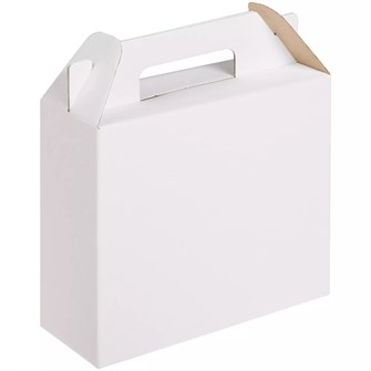 {{photo.Alt || photo.Description || 'Коробка In Case M, ver.2, белая'}}