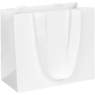 {{photo.Alt || photo.Description || 'Пакет бумажный Manilla S, белый'}}