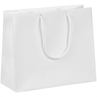 {{photo.Alt || photo.Description || 'Пакет бумажный Ample Plus S, белый'}}