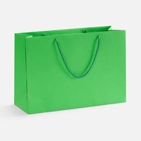 {{photo.Alt || photo.Description || 'Пакет бумажный Ample Thin M, светло-зеленый'}}