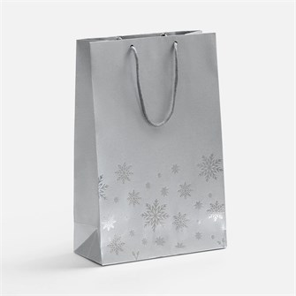 {{photo.Alt || photo.Description || 'Пакет Wintry, серебристый'}}