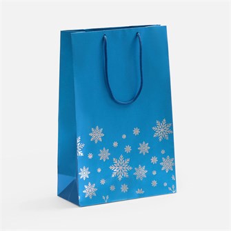 {{photo.Alt || photo.Description || 'Пакет Wintry, синий'}}