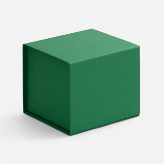 {{photo.Alt || photo.Description || 'Коробка Alian, зеленая'}}