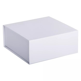 {{photo.Alt || photo.Description || 'Коробка Non-Stop, белая'}}