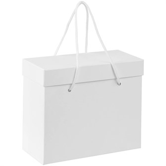 {{photo.Alt || photo.Description || 'Коробка Handgrip, малая, белая'}}