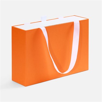 {{photo.Alt || photo.Description || 'Коробка Regalis, оранжевая'}}