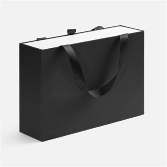 {{photo.Alt || photo.Description || 'Коробка Regalis, черная'}}