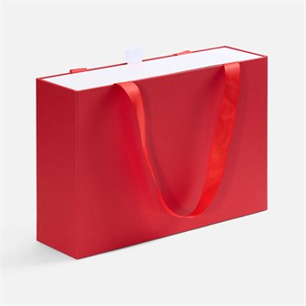 {{photo.Alt || photo.Description || 'Коробка Regalis, красная'}}